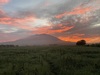 DU3TW Image